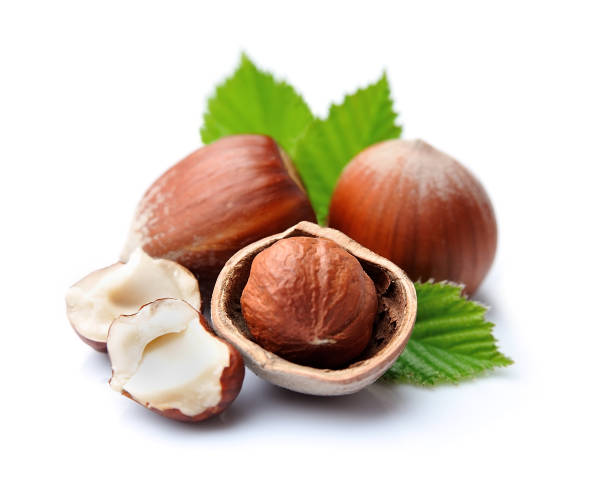Natural  Hazelnut